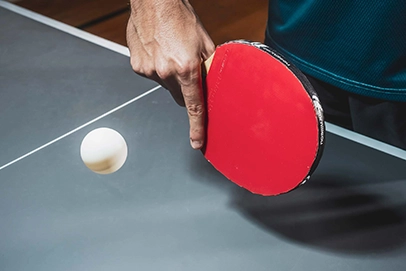850 Wood ITTF indoor table tennis table Feature 2