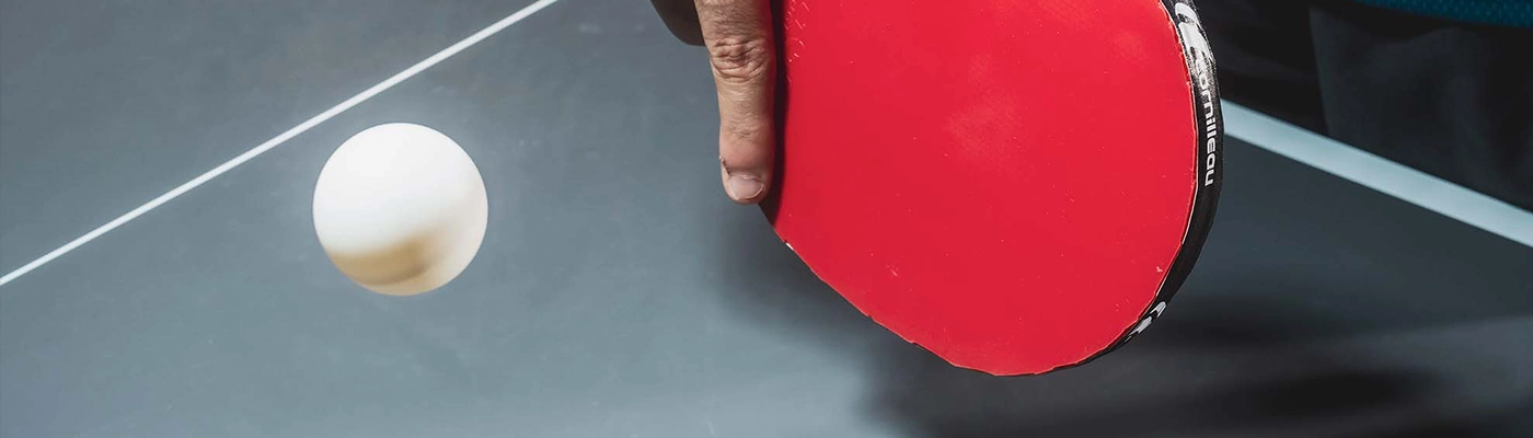 850 Wood ITTF indoor table tennis table Banner