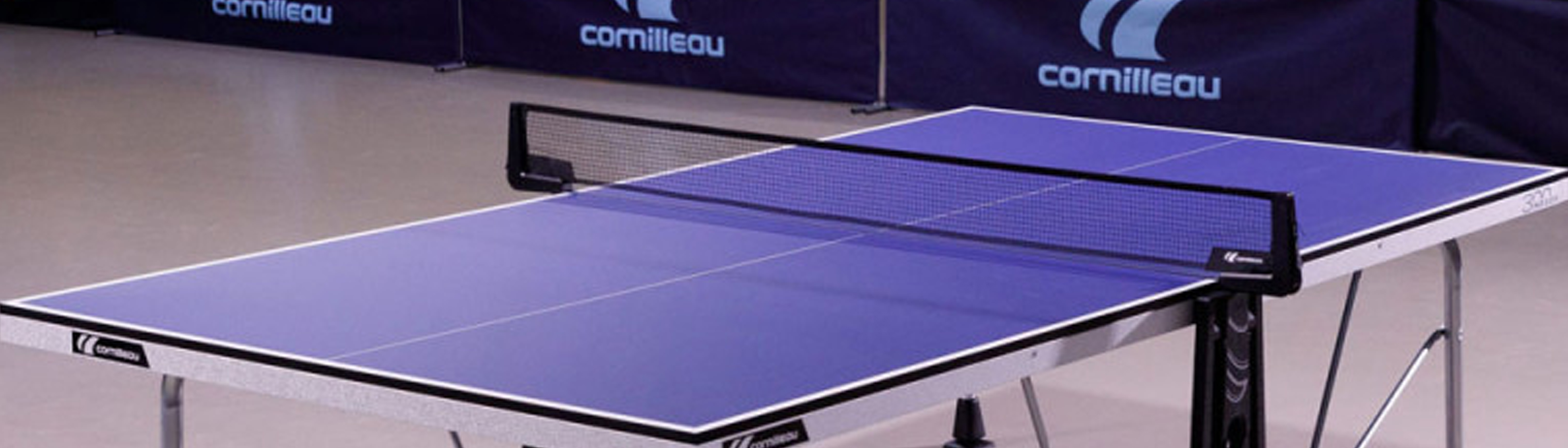Sport 300 Indoor, blue Banner