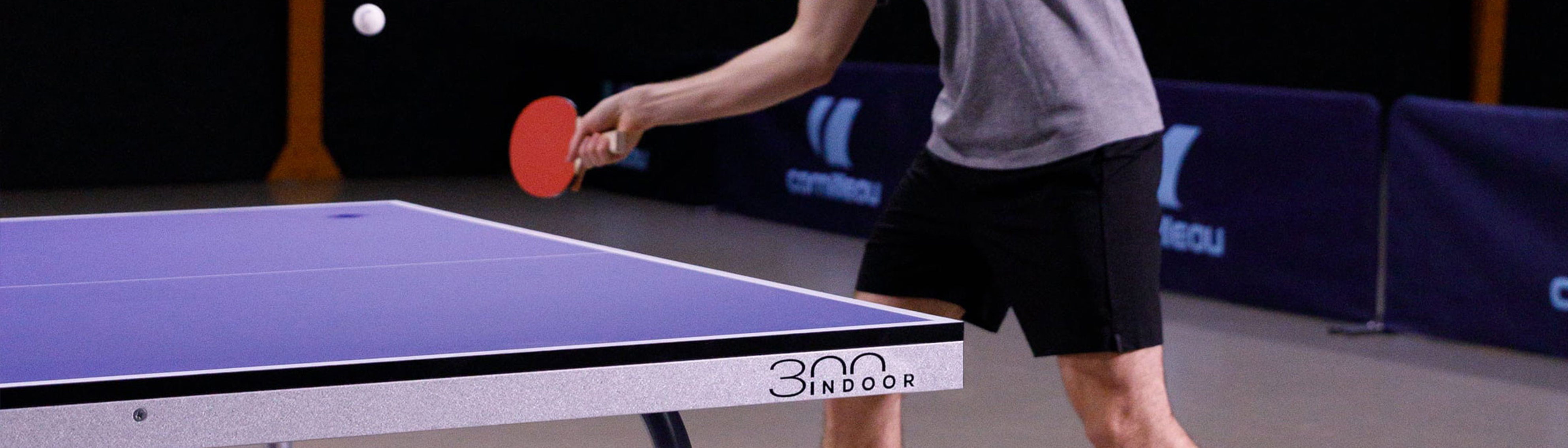 Sport 300 Indoor, blue Banner